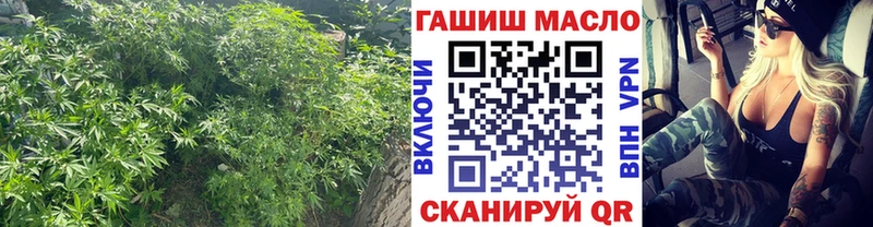 как найти закладки  Домодедово  ТГК гашишное масло 
