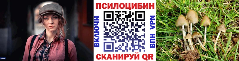 Псилоцибиновые грибы Magic Shrooms  Домодедово 
